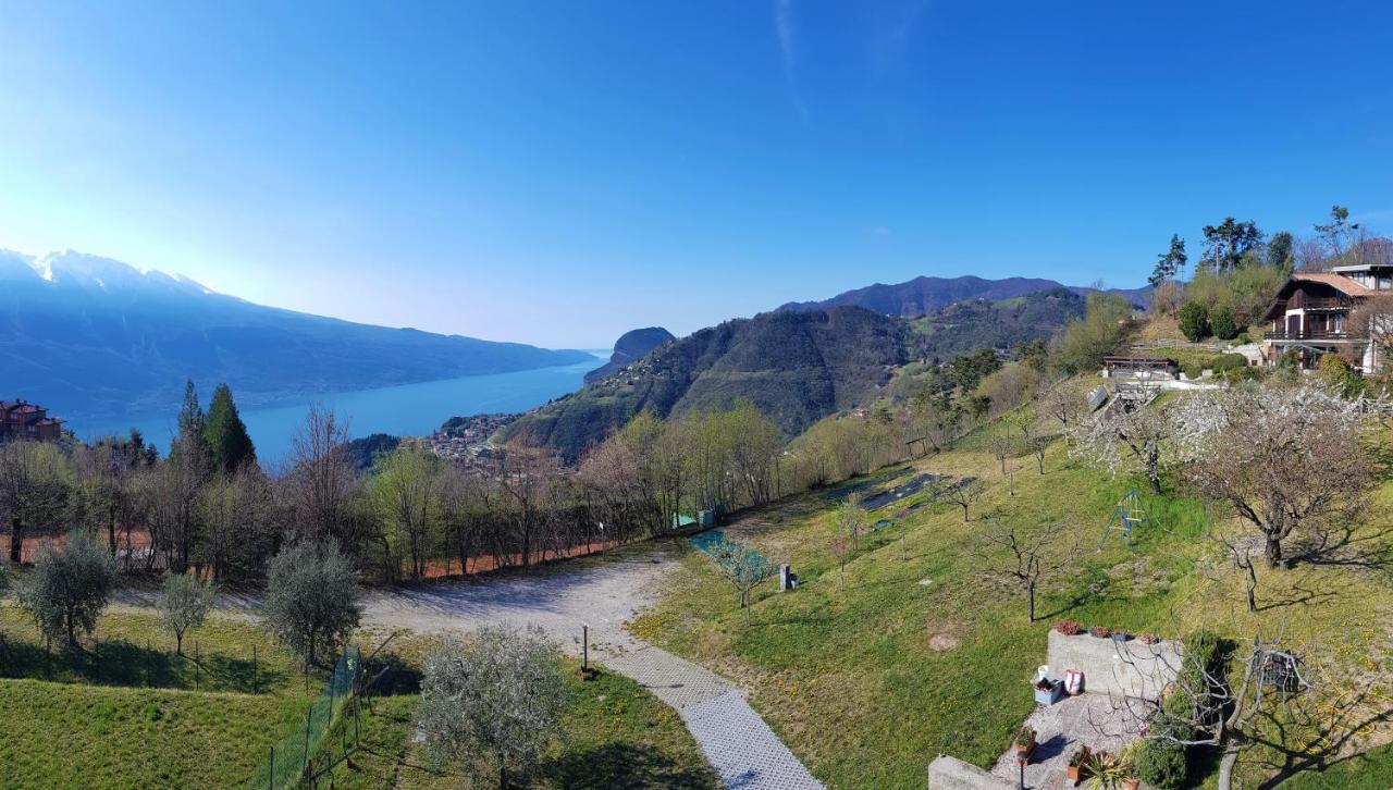 Teresa Campi Apartments Lake View By Gardadomusmea Tremosine Exteriér fotografie